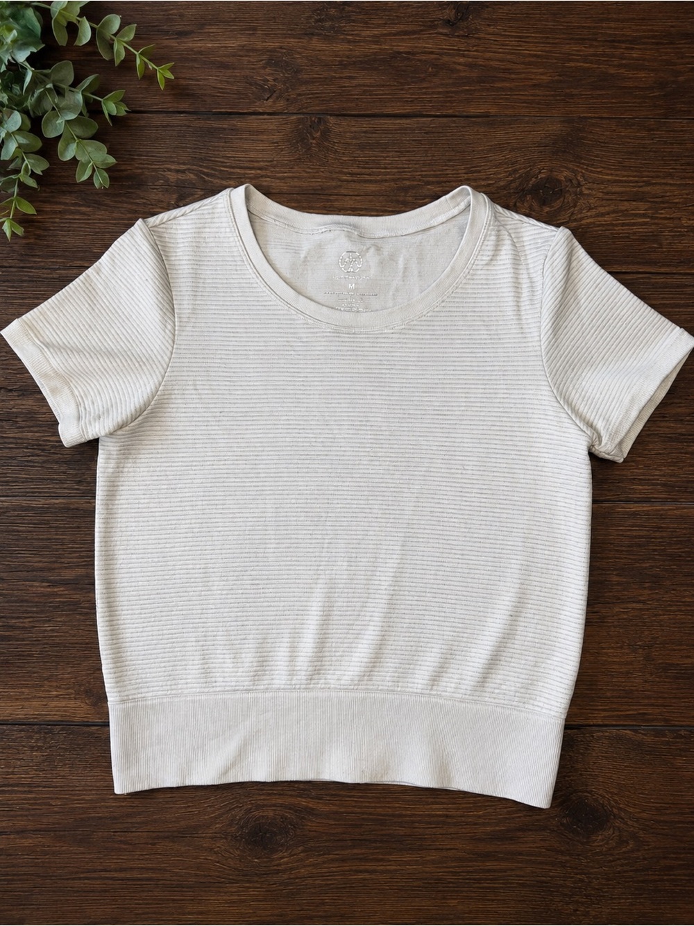 Short Sleeve Ribbed Knit Top in Light Cream - Picture 1 of 2